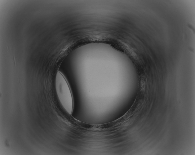 X0000097650211200802290855