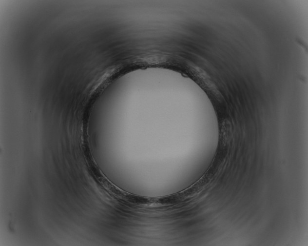 X0000097650212200802290855