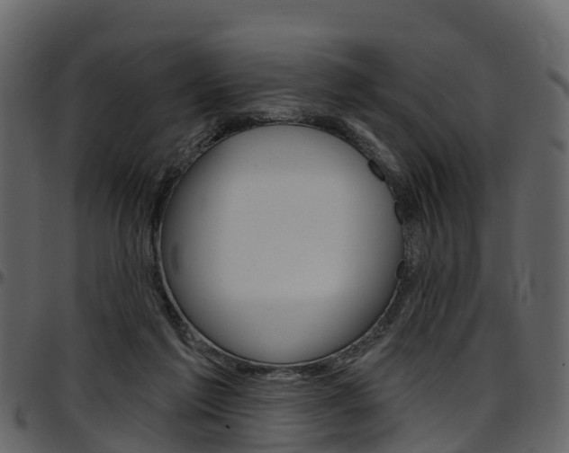 X0000097650213200802290855