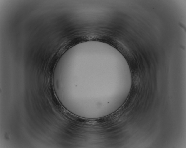 X0000097650214200802290855