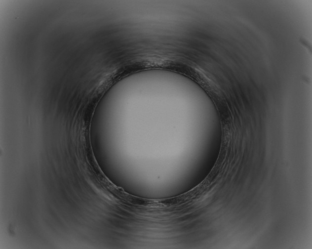 X0000097650215200802290855