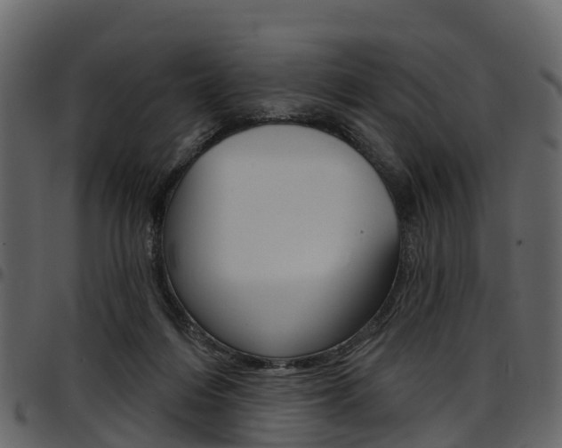 X0000097650216200802290854