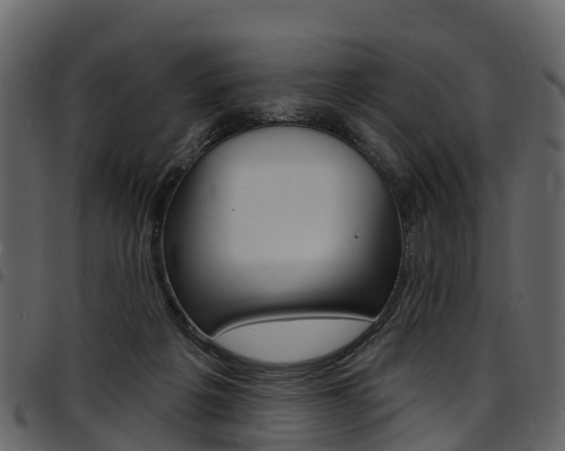 X0000097650217200802290854