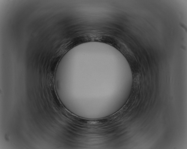 X0000097650218200802290854