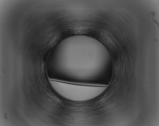 X0000097650219200802290854