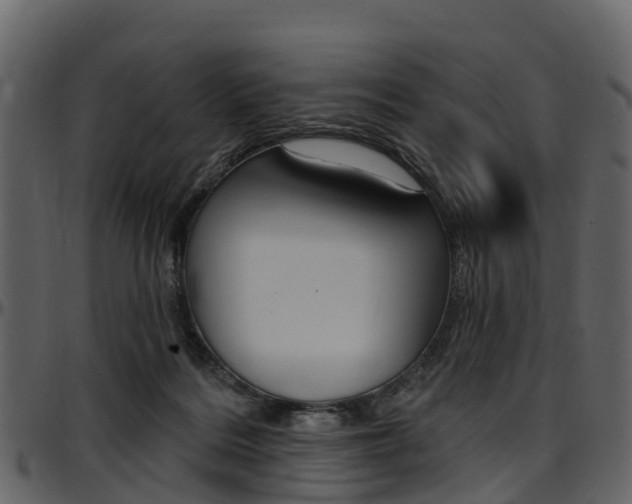 X0000097650220200802290854