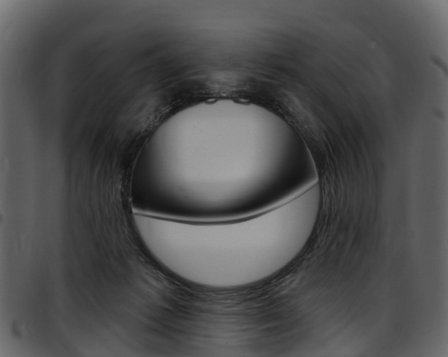 X0000097650221200802290854
