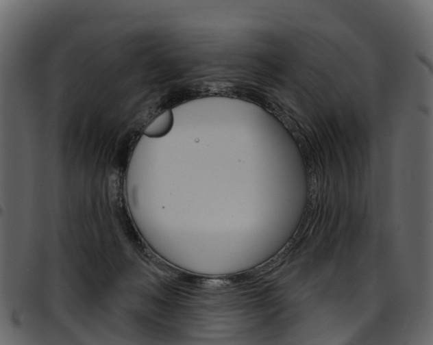 X0000097650222200802290854