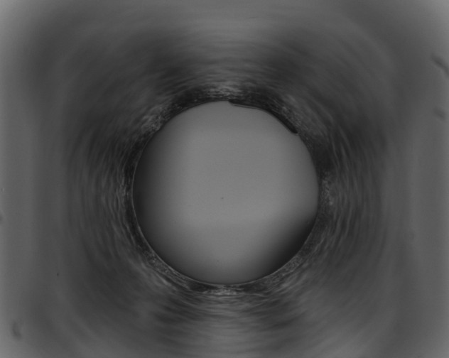 X0000097650223200802290854
