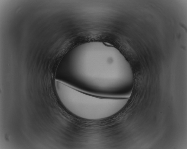 X0000097650225200802290854