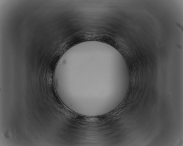 X0000097650226200802290854