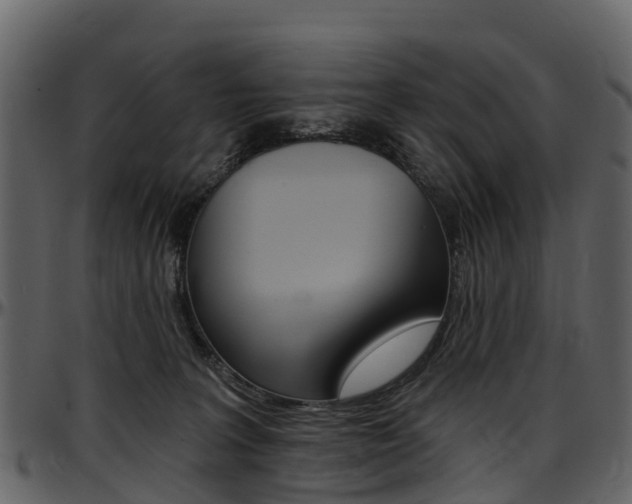 X0000097650227200802290854