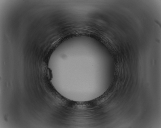 X0000097650228200802290854