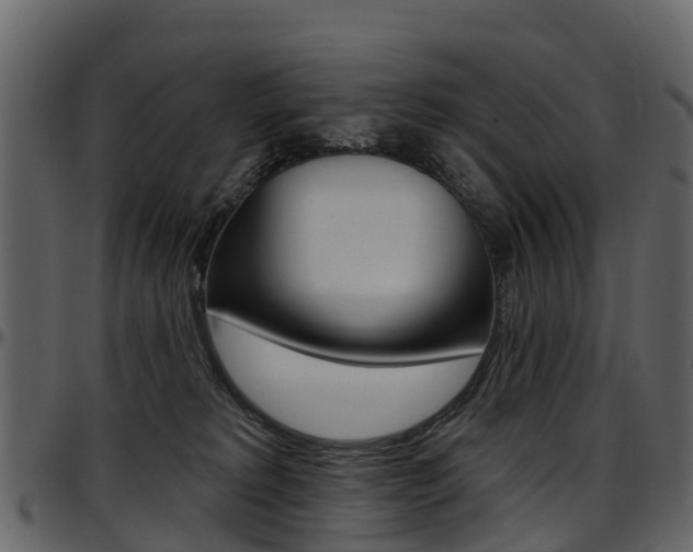 X0000097650229200802290854