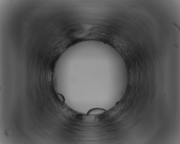 X0000097650230200802290854