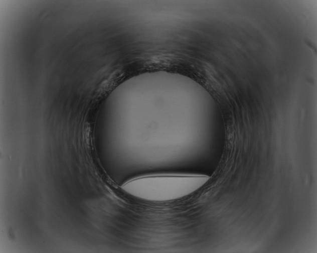 X0000097650231200802290854