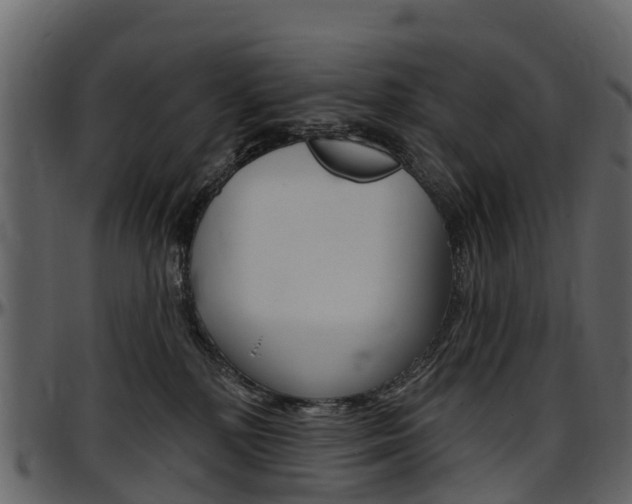 X0000097650232200802290854