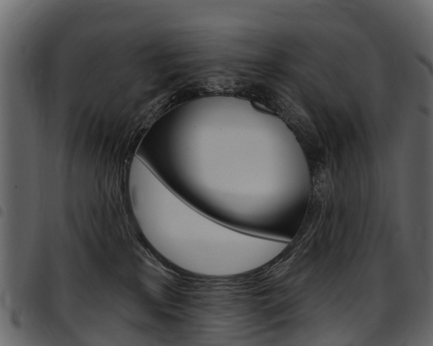 X0000097650233200802290854