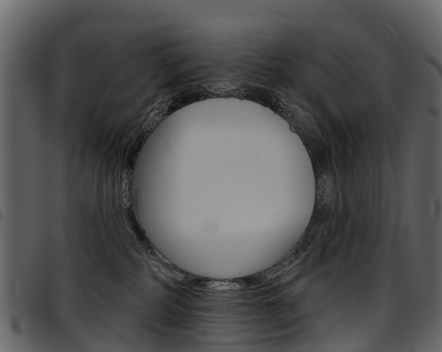 X0000097650234200802290854