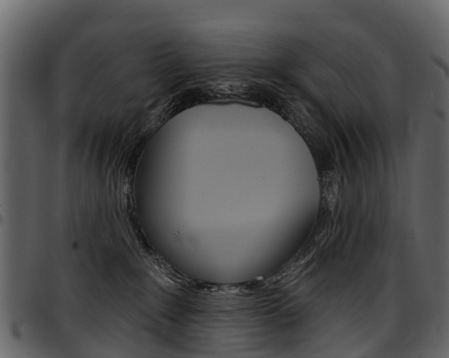 X0000097650235200802290854