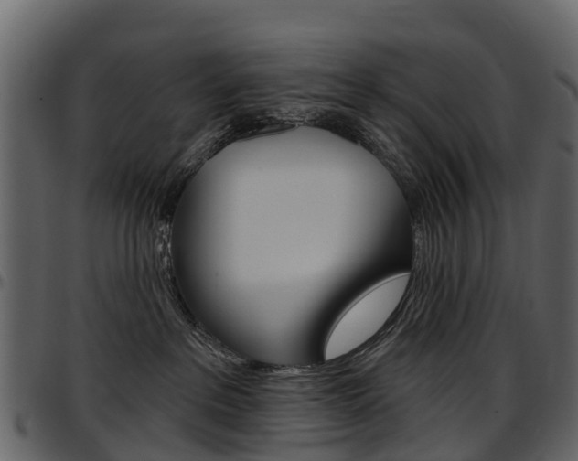 X0000097650237200802290854
