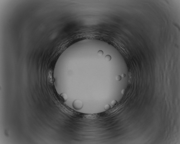 X0000097650238200802290854