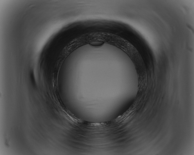 X0000097650239200802290854