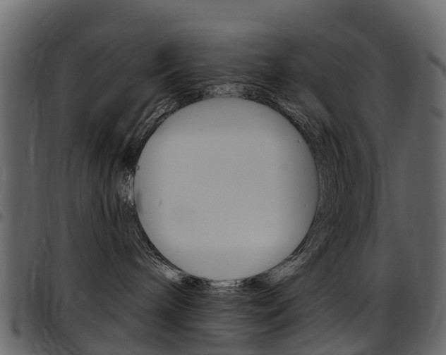 X0000097650240200802290854