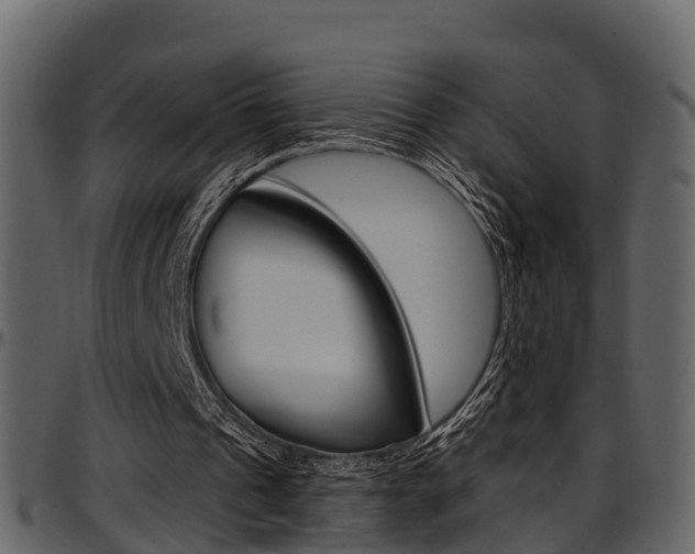 X0000097650241200802290853