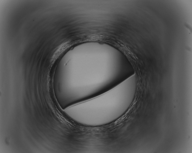 X0000097650242200802290853