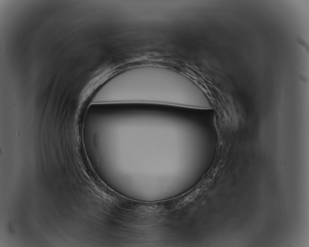 X0000097650245200802290853