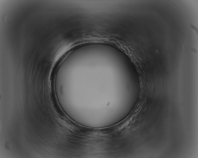 X0000097650246200802290853