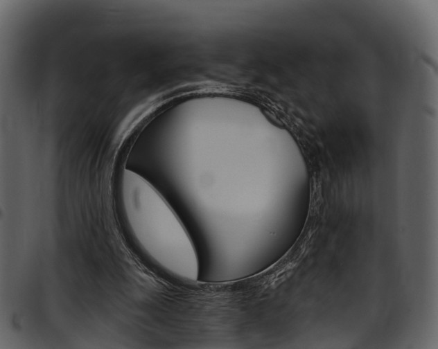 X0000097650247200802290853