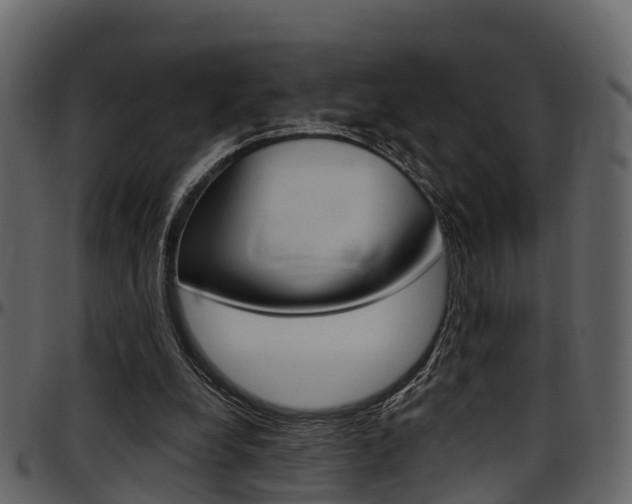 X0000097650248200802290853