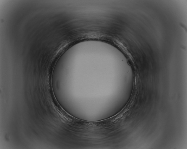 X0000097650249200802290853