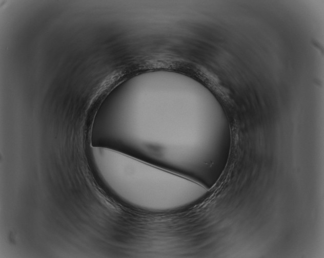 X0000097650250200802290853
