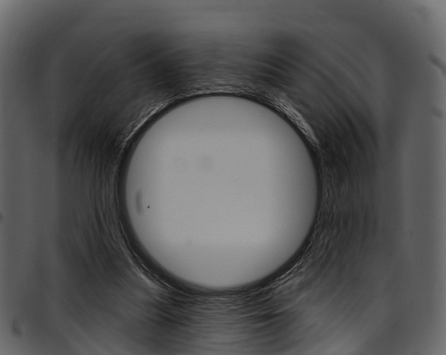 X0000097650251200802290853