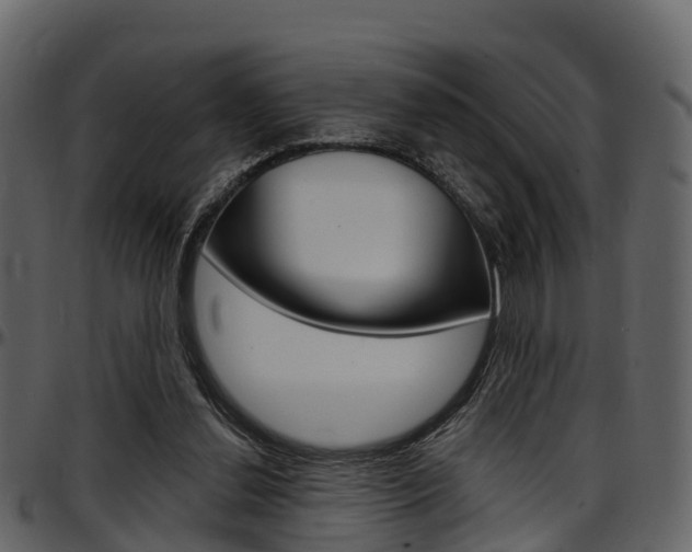 X0000097650252200802290853