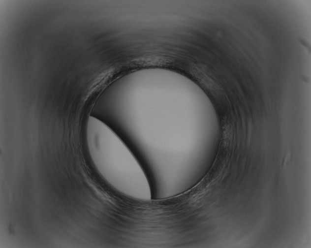 X0000097650254200802290853