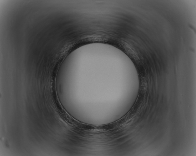 X0000097650255200802290853