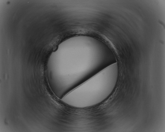 X0000097650257200802290854