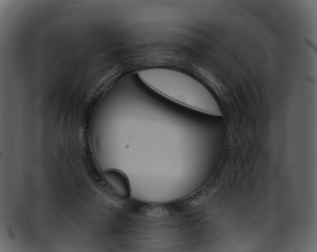 X0000097650258200802290854