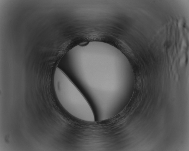 X0000097650259200802290854