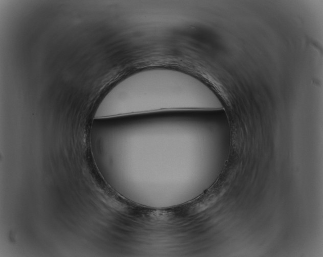 X0000097650261200802290854