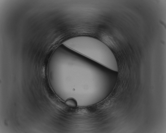 X0000097650262200802290854