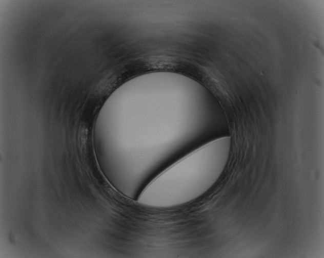 X0000097650263200802290854