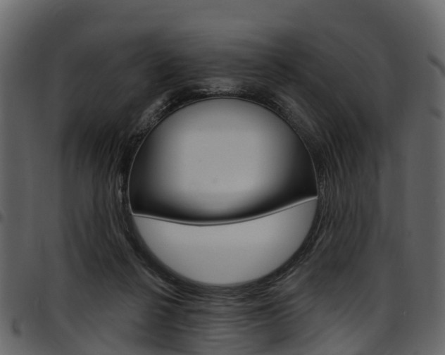 X0000097650264200802290854
