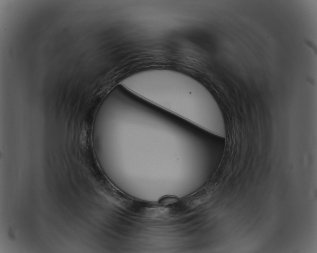 X0000097650266200802290854