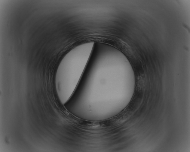 X0000097650267200802290854