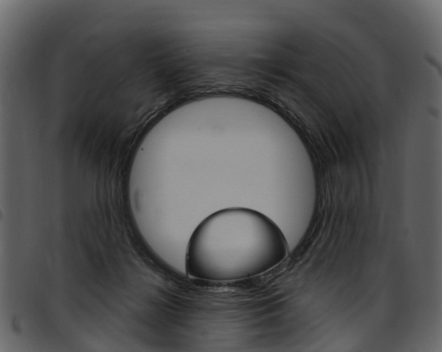 X0000097650268200802290854